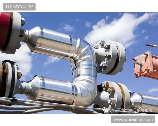 数据分析视角下液化天然气市场意识与趋势的深度探讨与解读